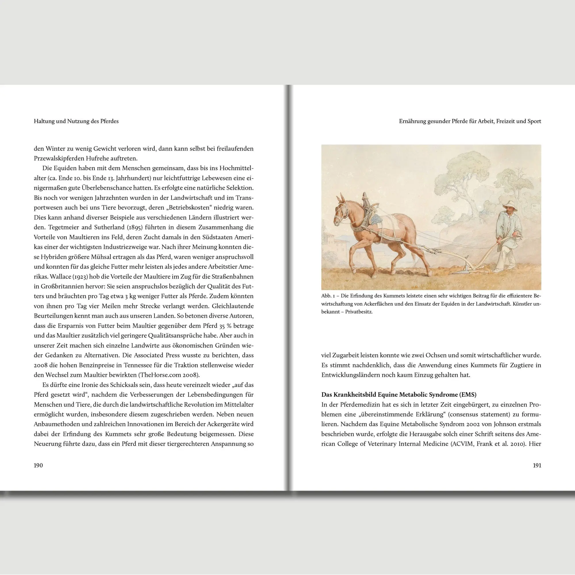 Bild: 9783758208195 | Unser Pferd | Peter S. Glatzel | Buch | 452 S. | Deutsch | 2025