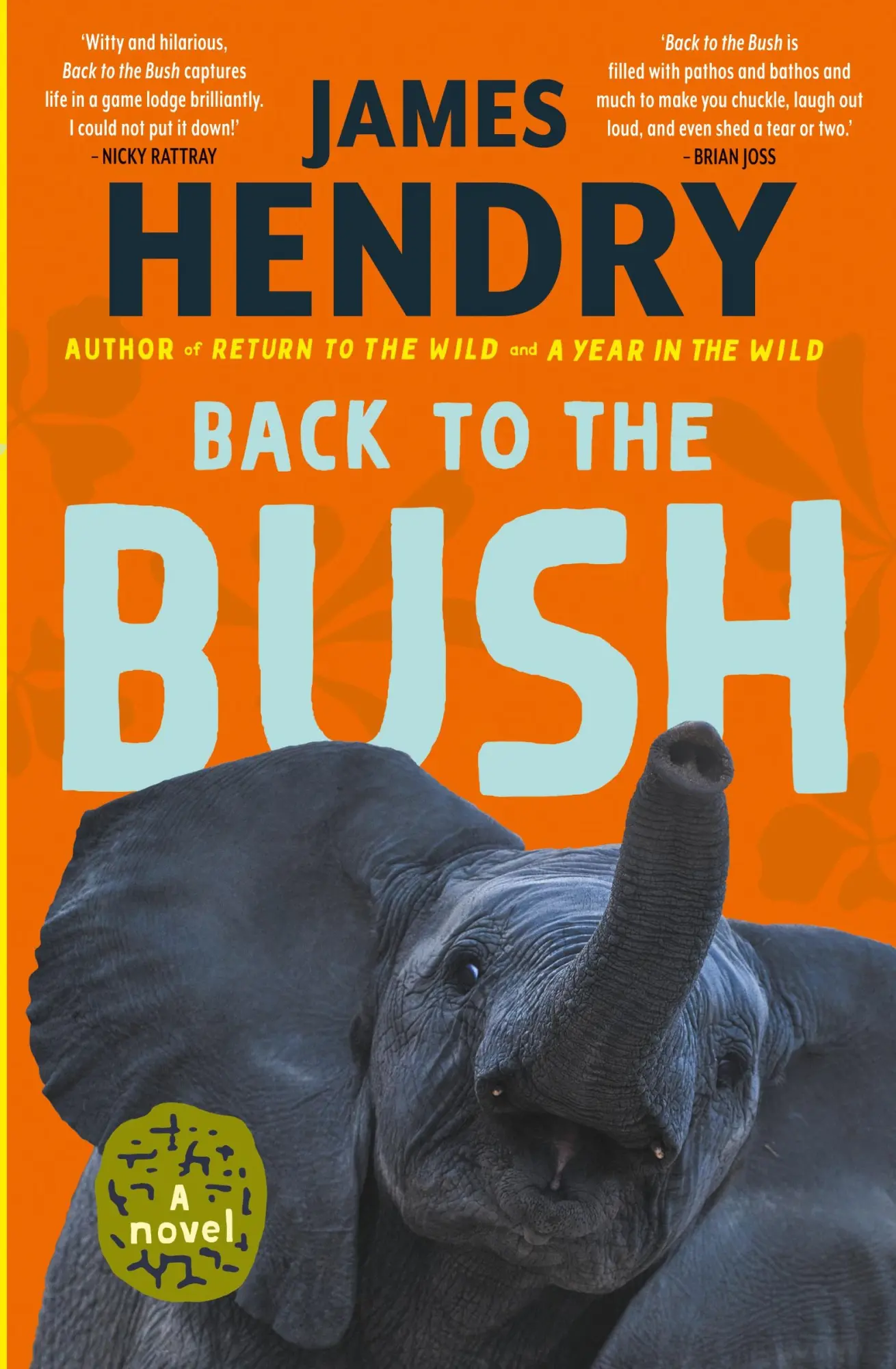 Cover: 9781770108295 | Back to the Bush | A Novel | James Hendry | Taschenbuch | Englisch