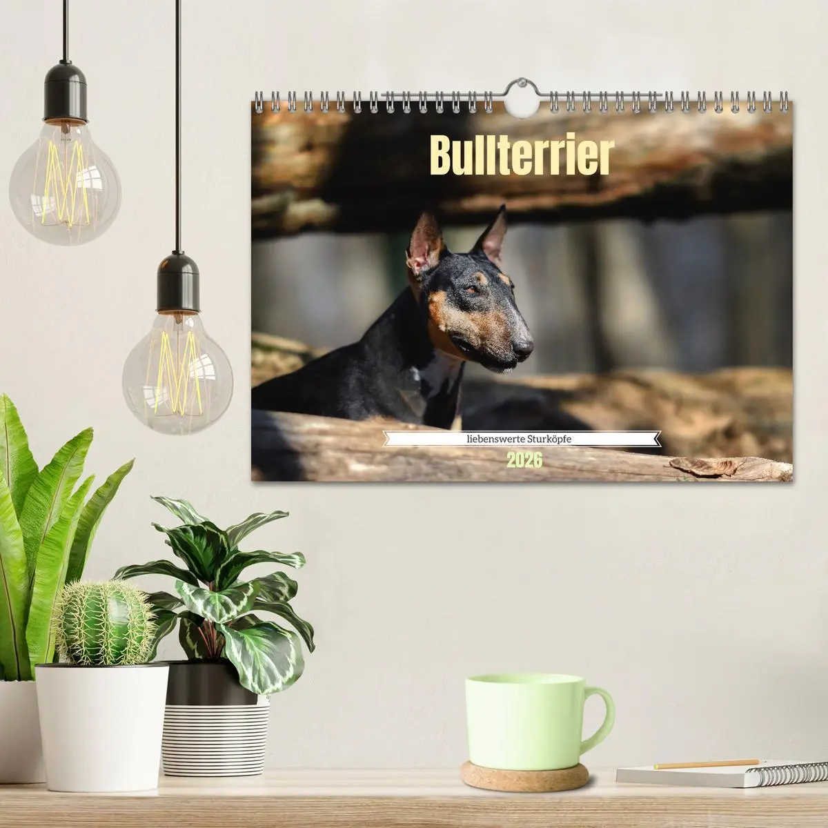Bild: 9783457308295 | Bullterrier, liebenswerte Sturköpfe (Wandkalender 2026 DIN A4...