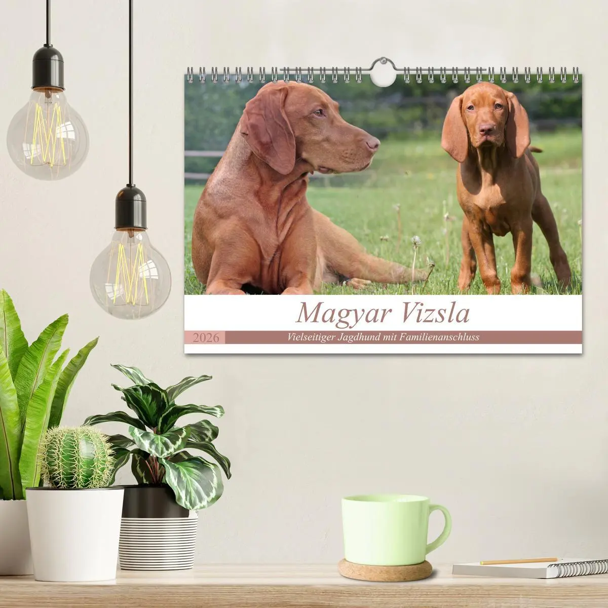 Bild: 9783516188295 | Magyar Vizsla - Vielseitiger Jagdhund mit Familienanschluss...