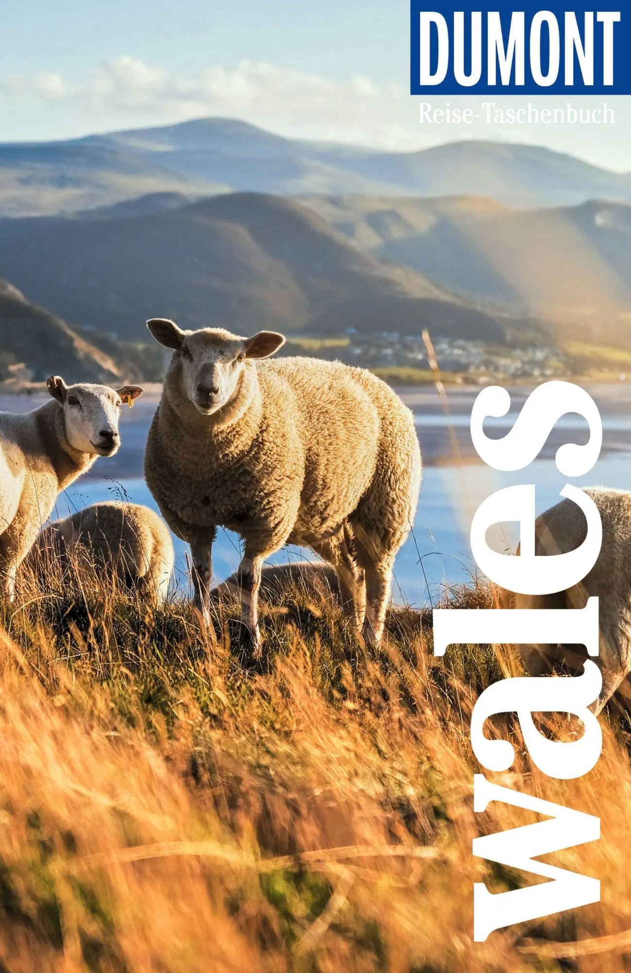 Cover: 9783616008295 | DUMONT Reise-Taschenbuch Reiseführer Wales | Petra Juling | Buch