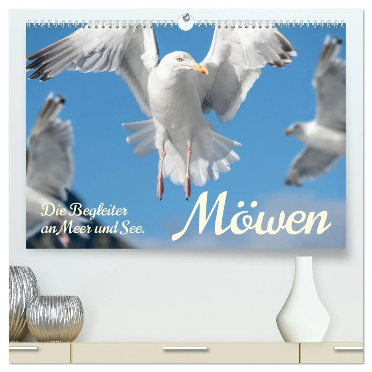 Cover: 9783457398395 | Möwen die Begleiter an Meer und See (hochwertiger Premium...