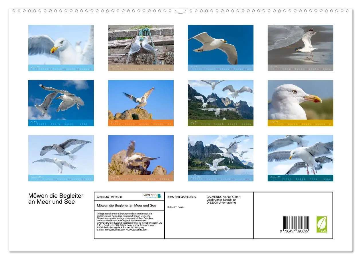 Bild: 9783457398395 | Möwen die Begleiter an Meer und See (hochwertiger Premium...