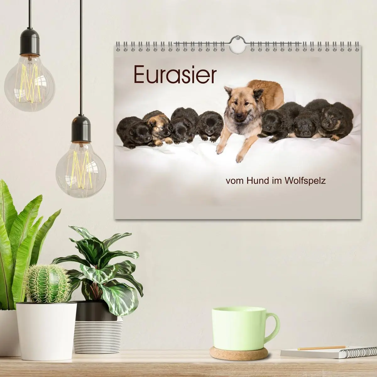 Bild: 9783457838495 | Eurasier, der Hund im Wolfspelz (Wandkalender 2026 DIN A4 quer),...