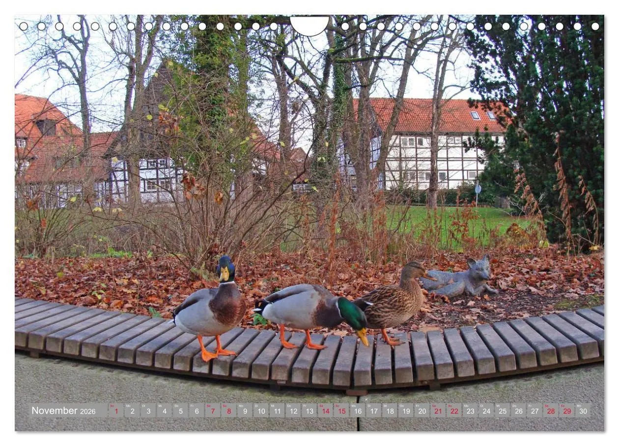 Bild: 9783457908495 | Bad Sassendorf (Wandkalender 2026 DIN A4 quer), CALVENDO...