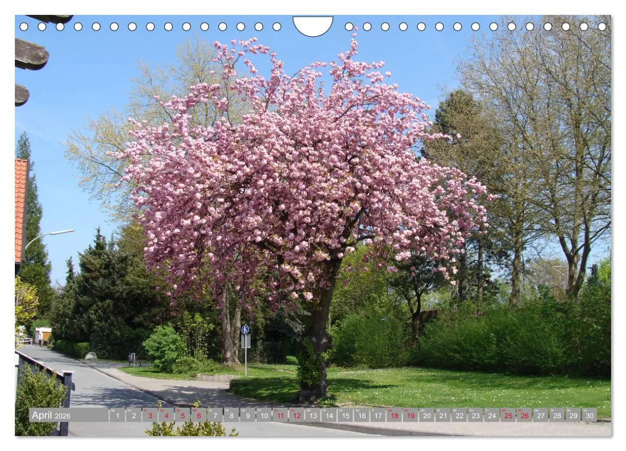 Bild: 9783457908495 | Bad Sassendorf (Wandkalender 2026 DIN A4 quer), CALVENDO...