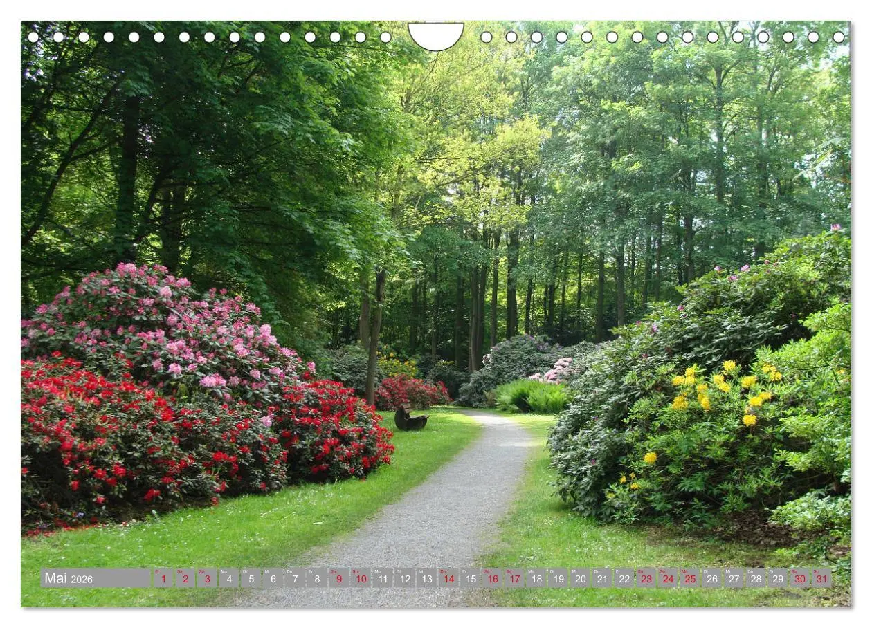 Bild: 9783457908495 | Bad Sassendorf (Wandkalender 2026 DIN A4 quer), CALVENDO...