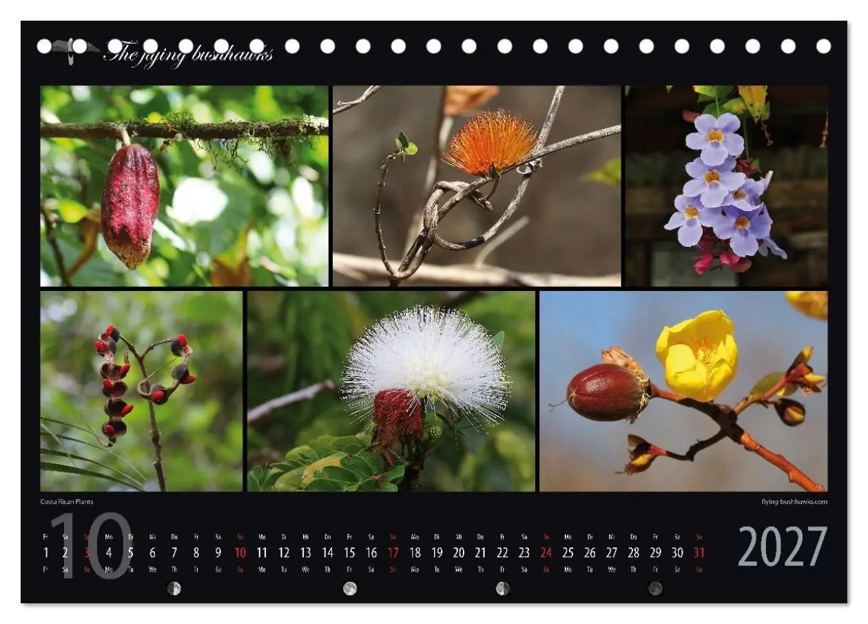Bild: 9783516788495 | Costa Rica Blickwinkel 2027 (Tischkalender 2027 DIN A5 quer),...