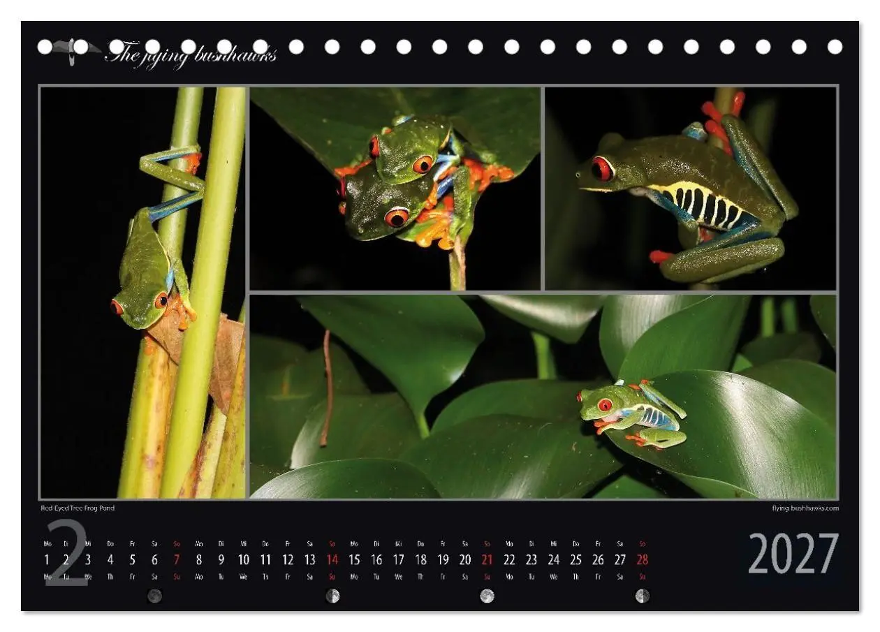 Bild: 9783516788495 | Costa Rica Blickwinkel 2027 (Tischkalender 2027 DIN A5 quer),...
