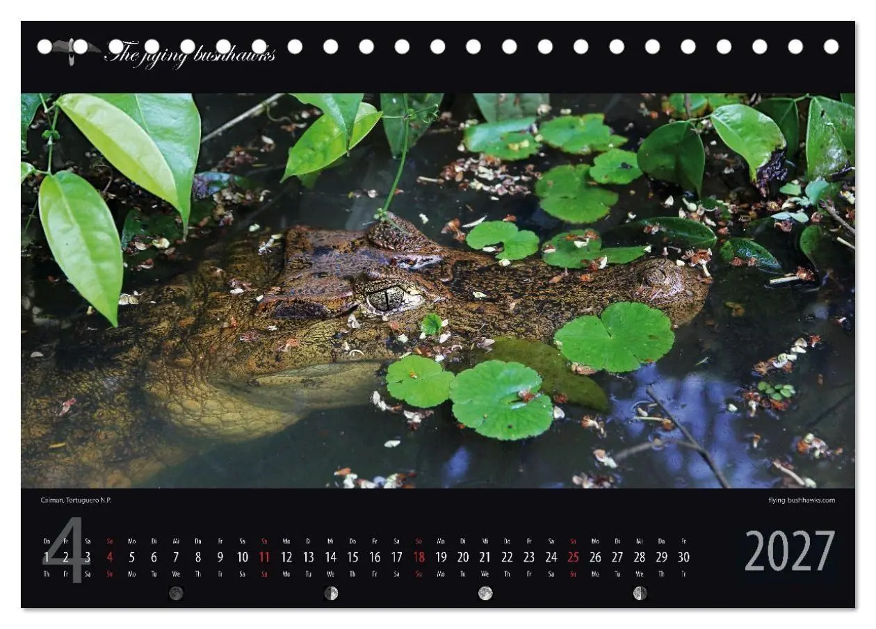Bild: 9783516788495 | Costa Rica Blickwinkel 2027 (Tischkalender 2027 DIN A5 quer),...