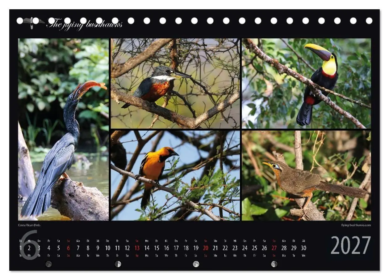 Bild: 9783516788495 | Costa Rica Blickwinkel 2027 (Tischkalender 2027 DIN A5 quer),...