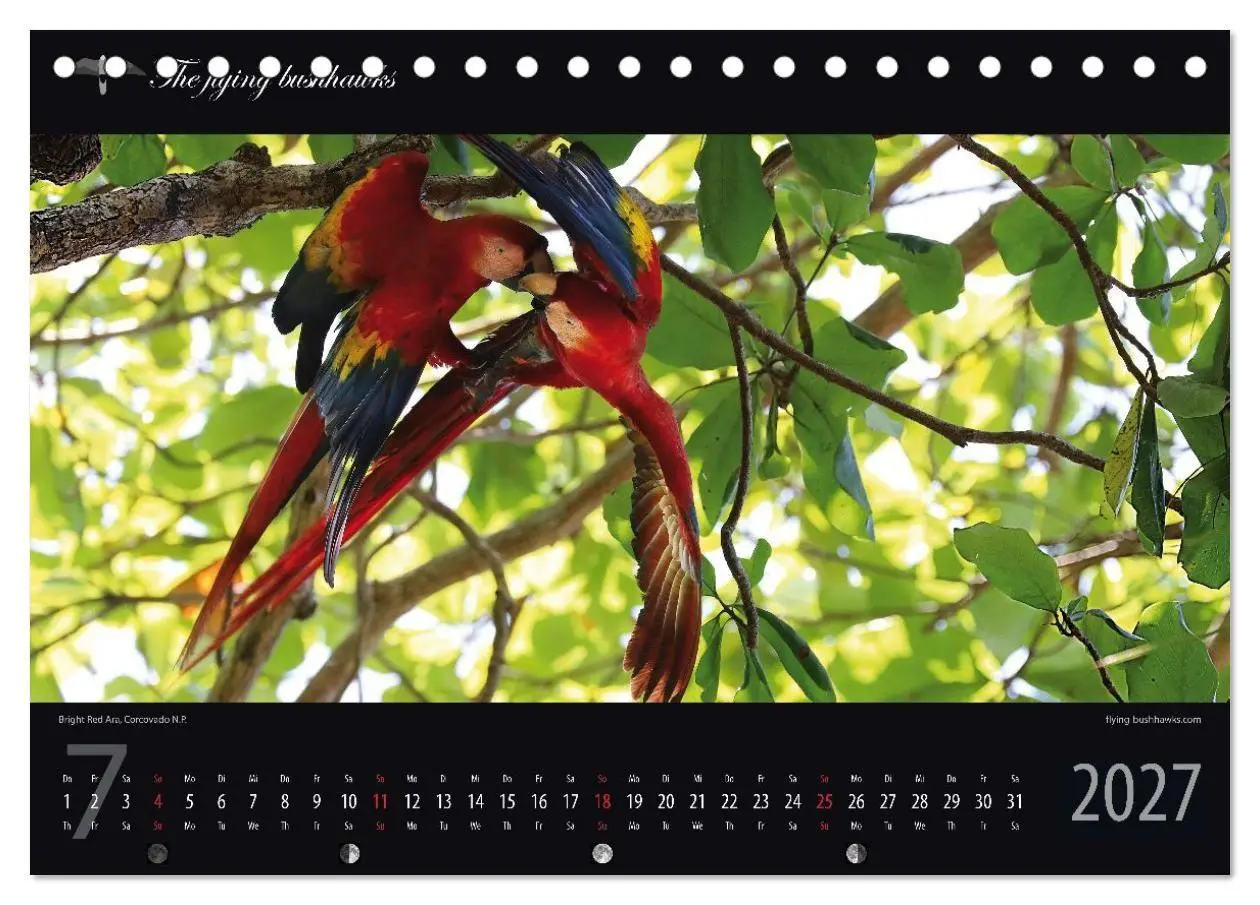 Bild: 9783516788495 | Costa Rica Blickwinkel 2027 (Tischkalender 2027 DIN A5 quer),...