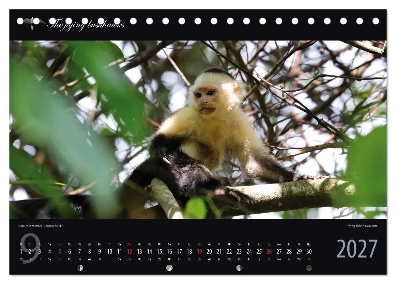Bild: 9783516788495 | Costa Rica Blickwinkel 2027 (Tischkalender 2027 DIN A5 quer),...