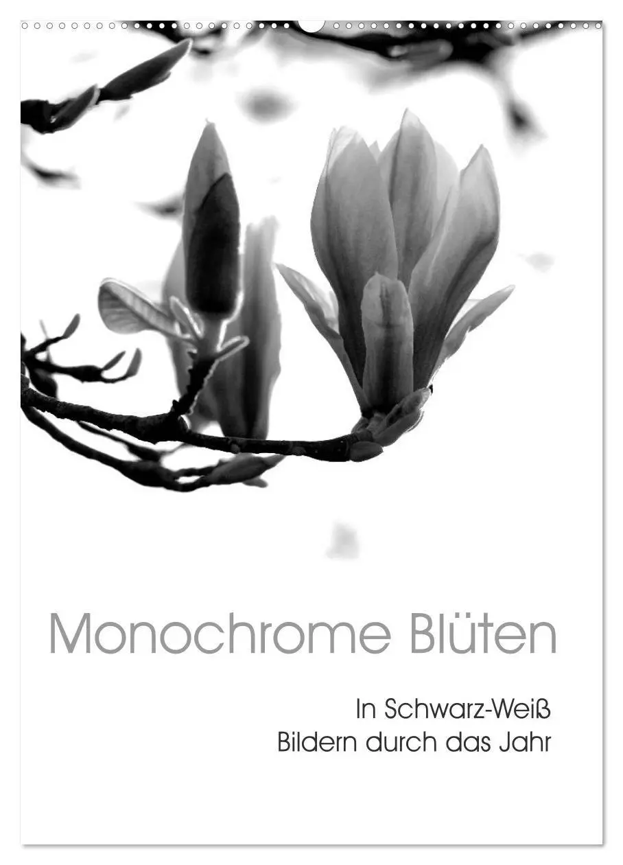 Cover: 9783569948495 | Monochrome Blüten - In Schwarz-Weiß Bildern durch das Jahr...