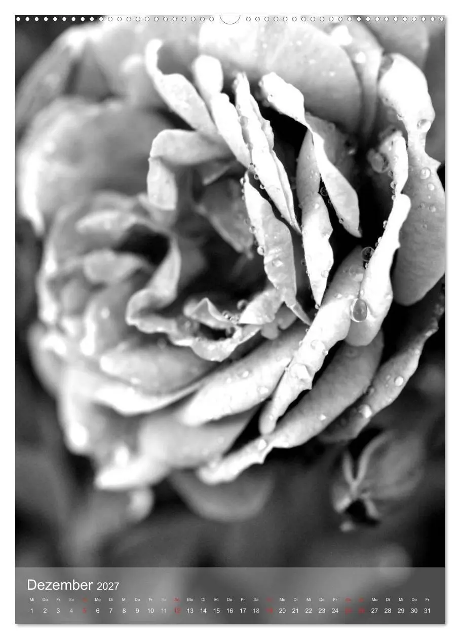Bild: 9783569948495 | Monochrome Blüten - In Schwarz-Weiß Bildern durch das Jahr...