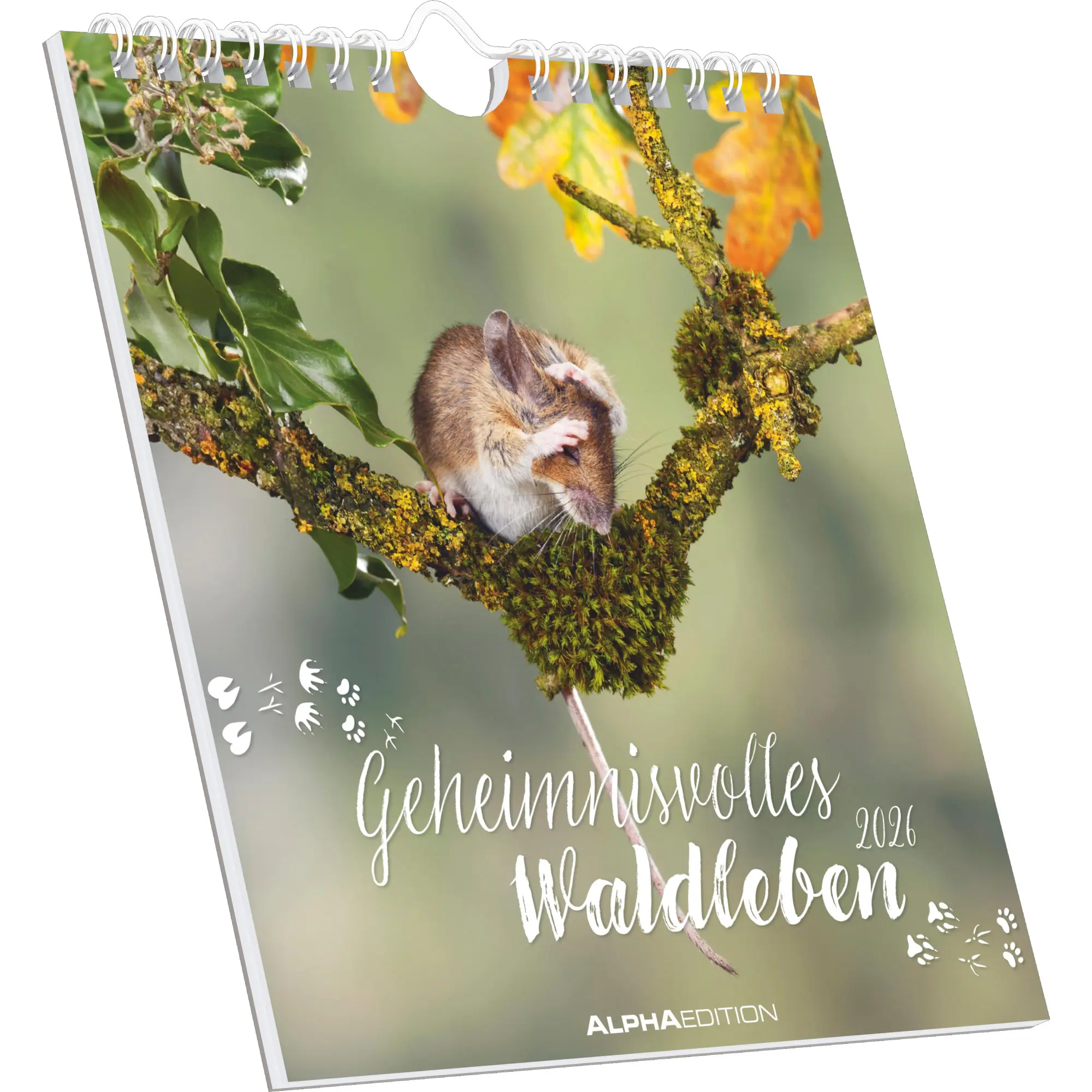 Cover: 4069095008595 | Geheimnisvolles Waldleben | Kalender | 26 S. | Deutsch