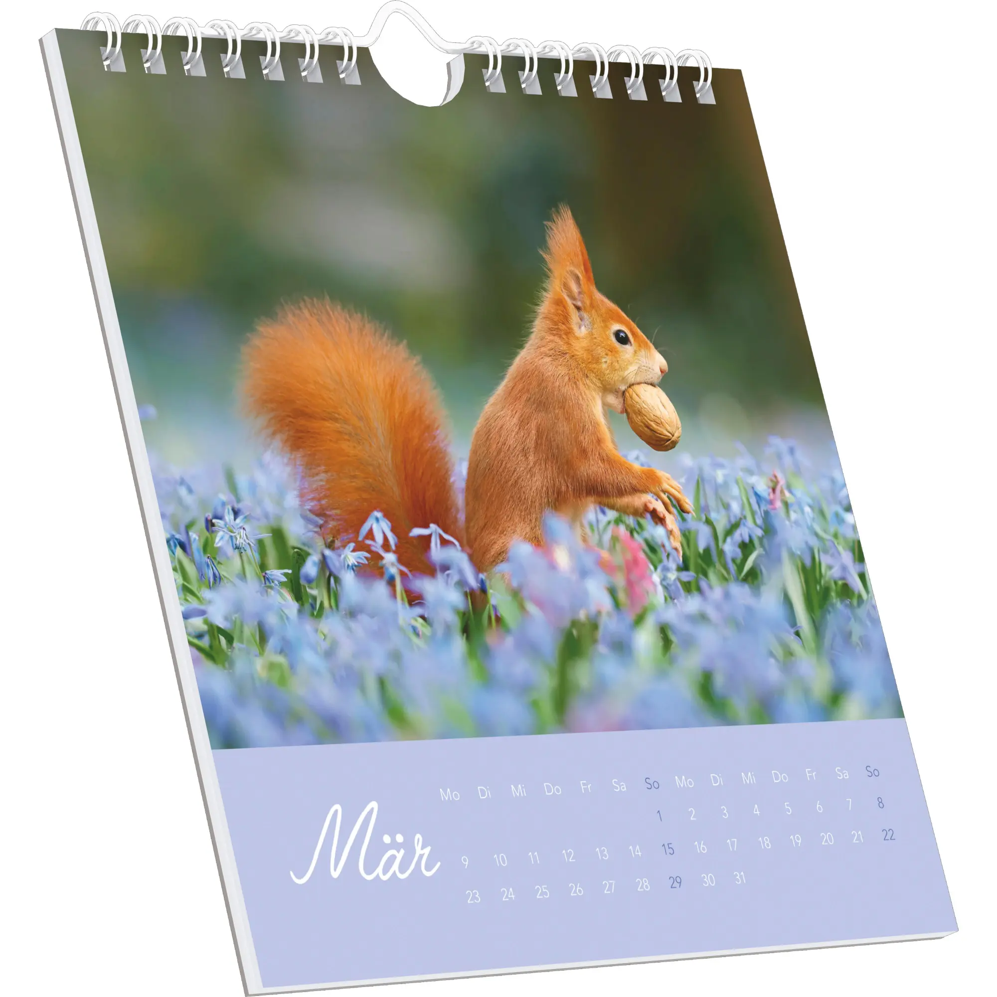 Bild: 4069095008595 | Geheimnisvolles Waldleben | Kalender | 26 S. | Deutsch