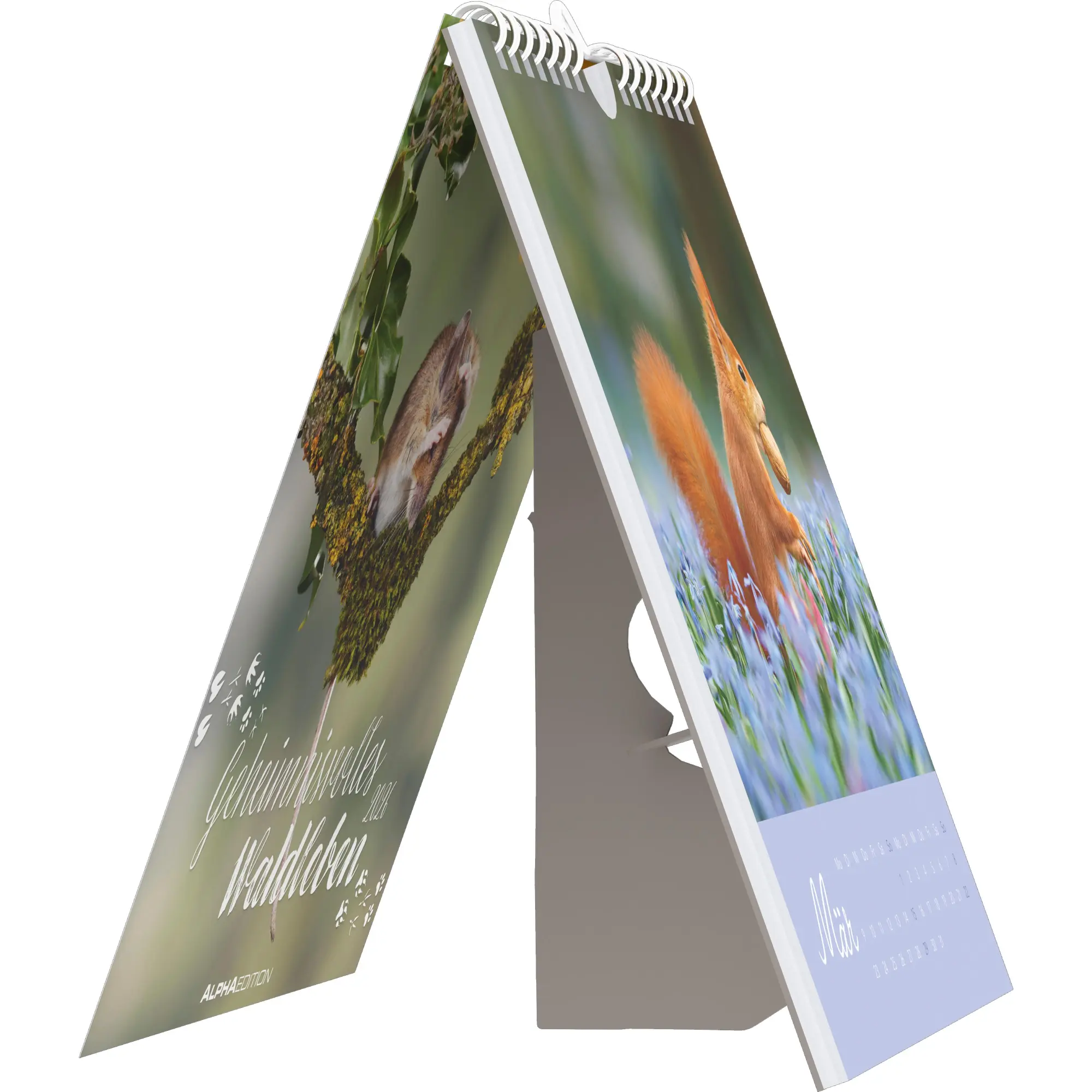 Bild: 4069095008595 | Geheimnisvolles Waldleben | Kalender | 26 S. | Deutsch