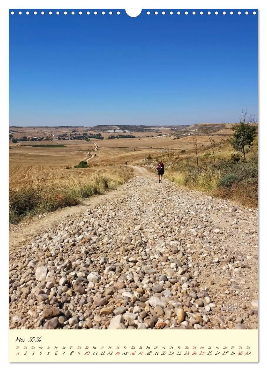 Bild: 9783516398595 | Buen Camino - Auf dem Jakobsweg - Camino Francés (Wandkalender 2026...