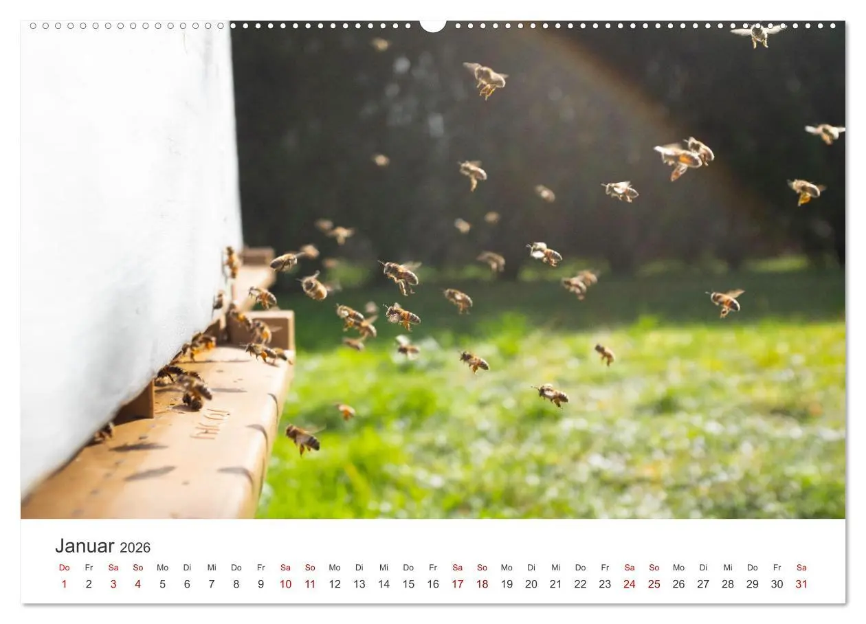 Bild: 9783457438695 | Bienen - Die fleißigen Tierchen die den Honig herstellen....
