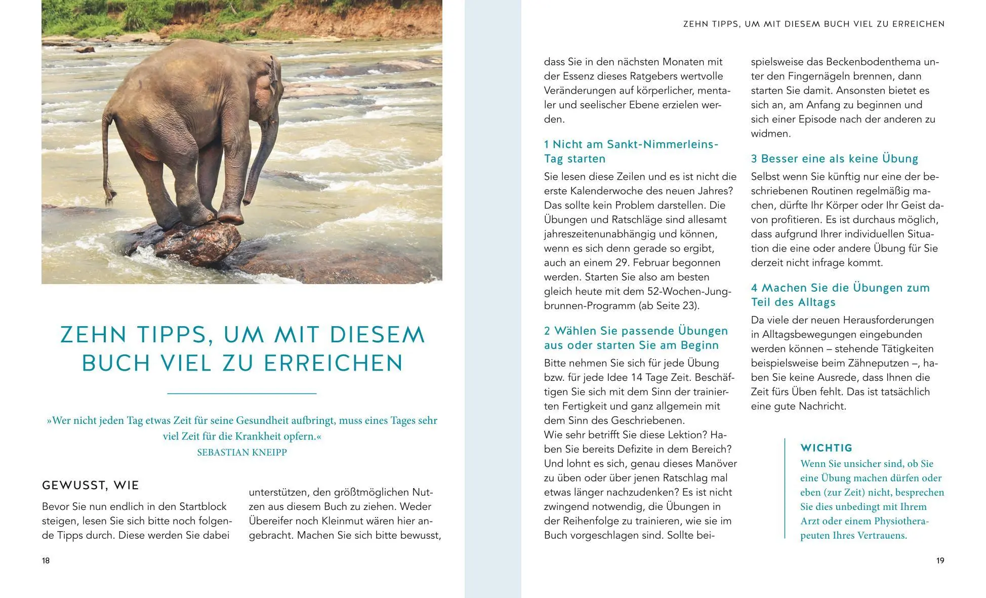 Bild: 9783833878695 | Leben ohne Fallen | Dirk Bringmann | Taschenbuch | Fitness | 112 S.
