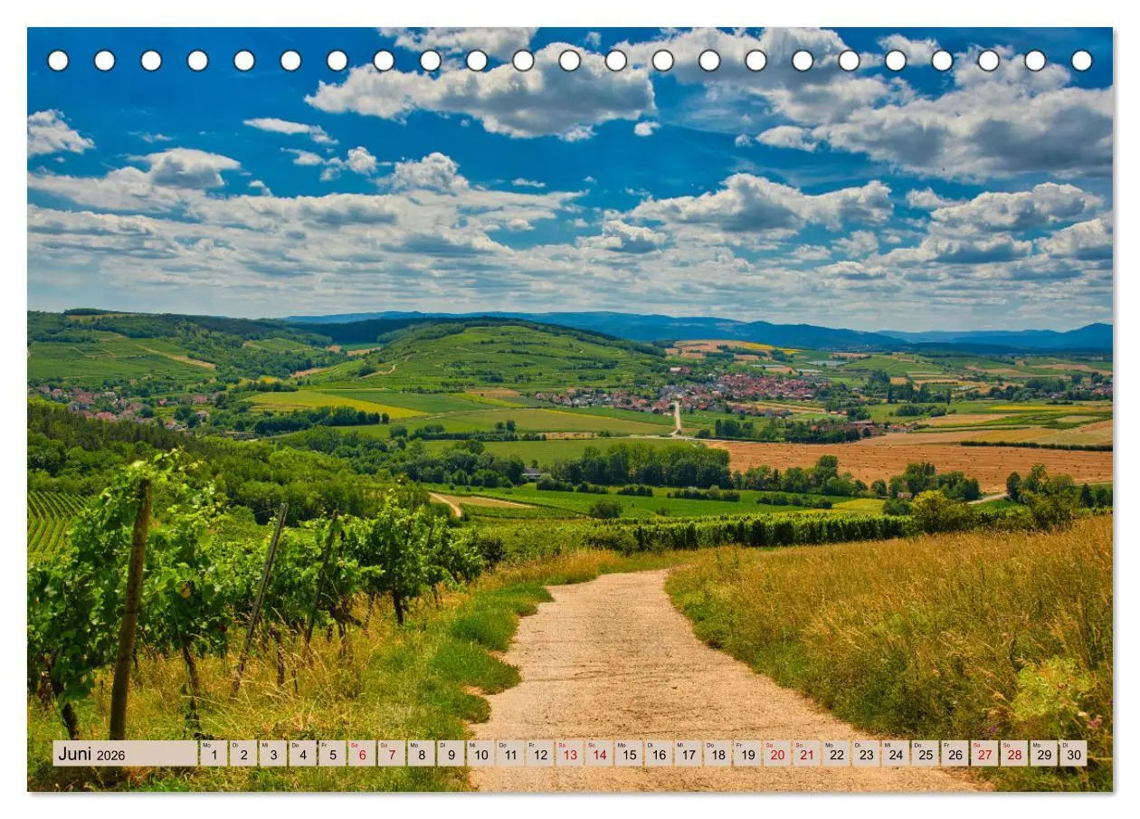 Bild: 9783457738795 | Vogesen - wunderschön (Tischkalender 2026 DIN A5 quer), CALVENDO...