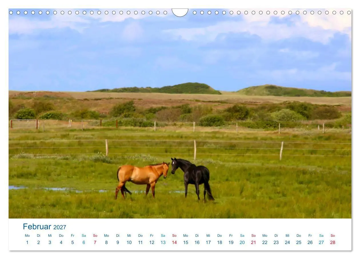 Bild: 9783569848795 | Langeoog 2027. Impressionen zwischen Hafen und Ostende...