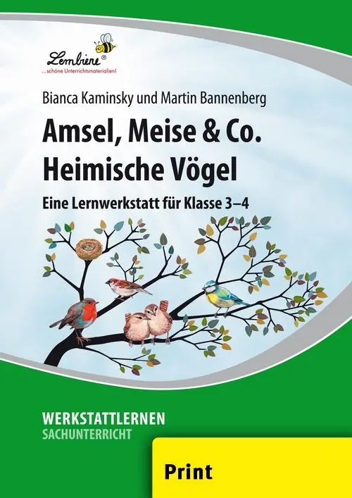 Cover: 9783869988795 | Amsel, Meise &amp; Co: Heimische Vögel | Martin Bannenberg (u. a.) | Buch