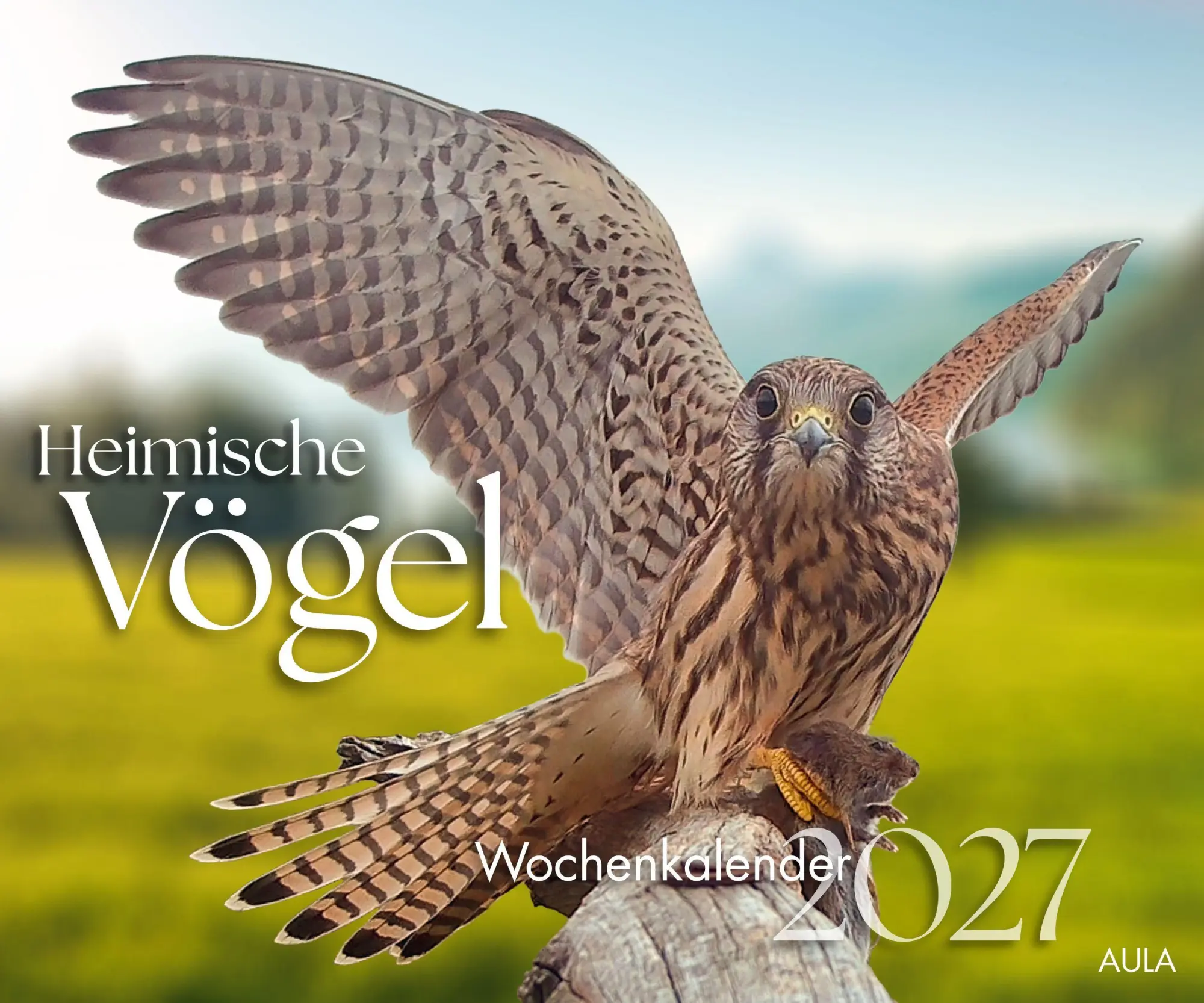 Cover: 9783891048795 | Heimische Vögel 2027 - Wochenkalender | Wochenkalender | AULA-Verlag