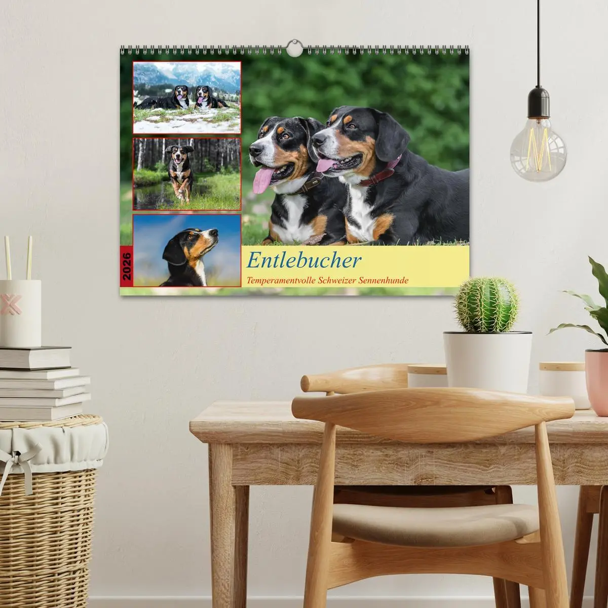Bild: 9783457348895 | Entlebucher - Temperamentvolle Schweizer Sennenhunde (Wandkalender...