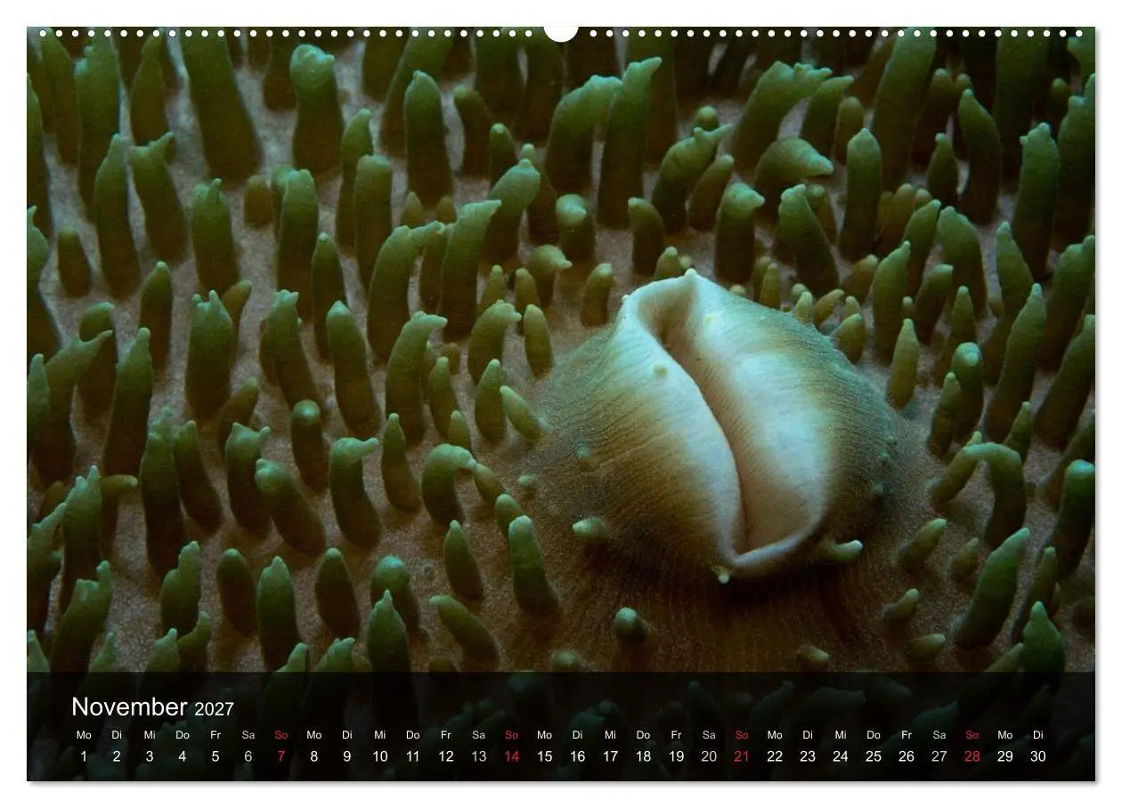 Bild: 9783594108895 | Unterwasser Strukuren (hochwertiger Premium Wandkalender 2027 DIN...