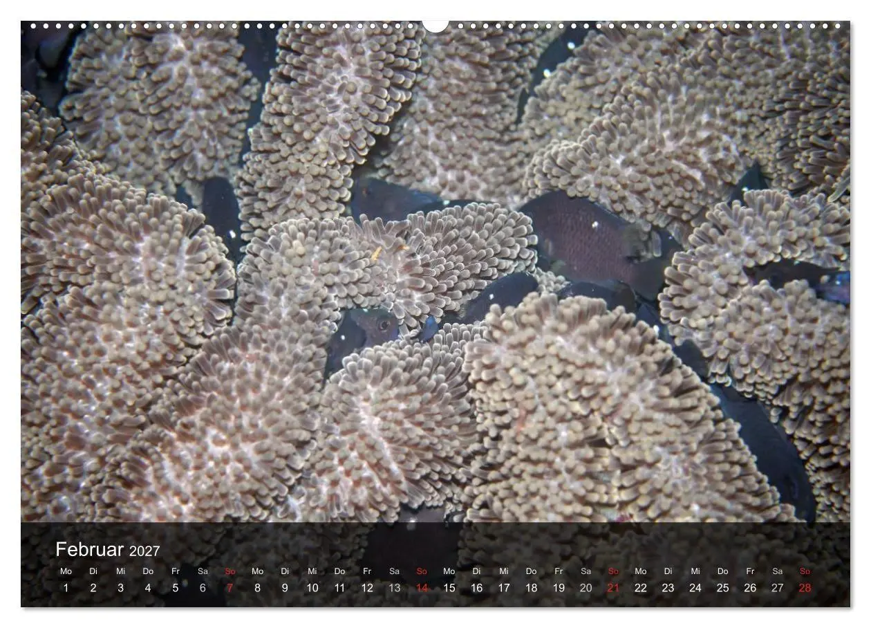 Bild: 9783594108895 | Unterwasser Strukuren (hochwertiger Premium Wandkalender 2027 DIN...