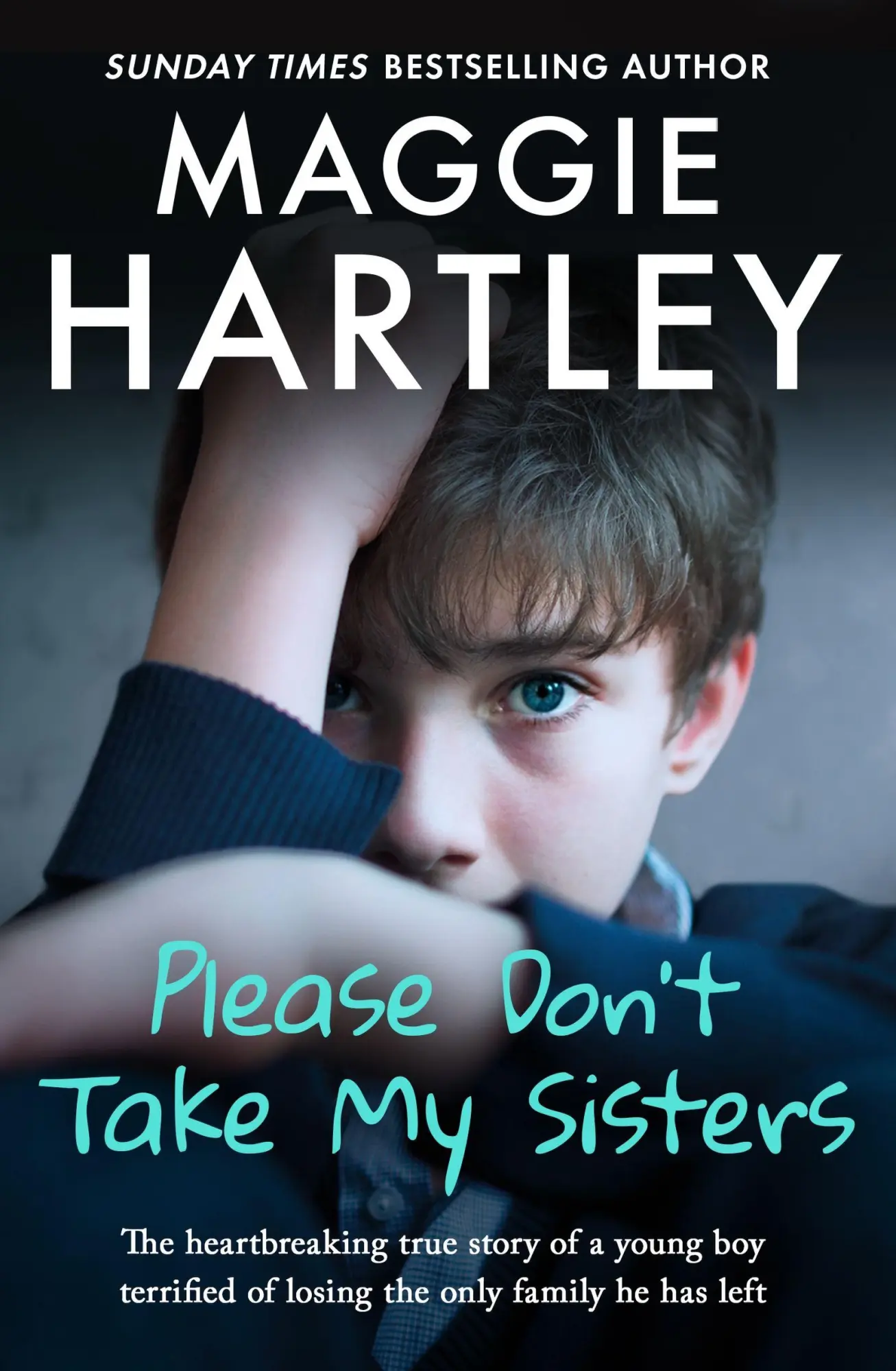 Cover: 9781409188995 | Please Don't Take My Sisters | Maggie Hartley | Taschenbuch | Englisch