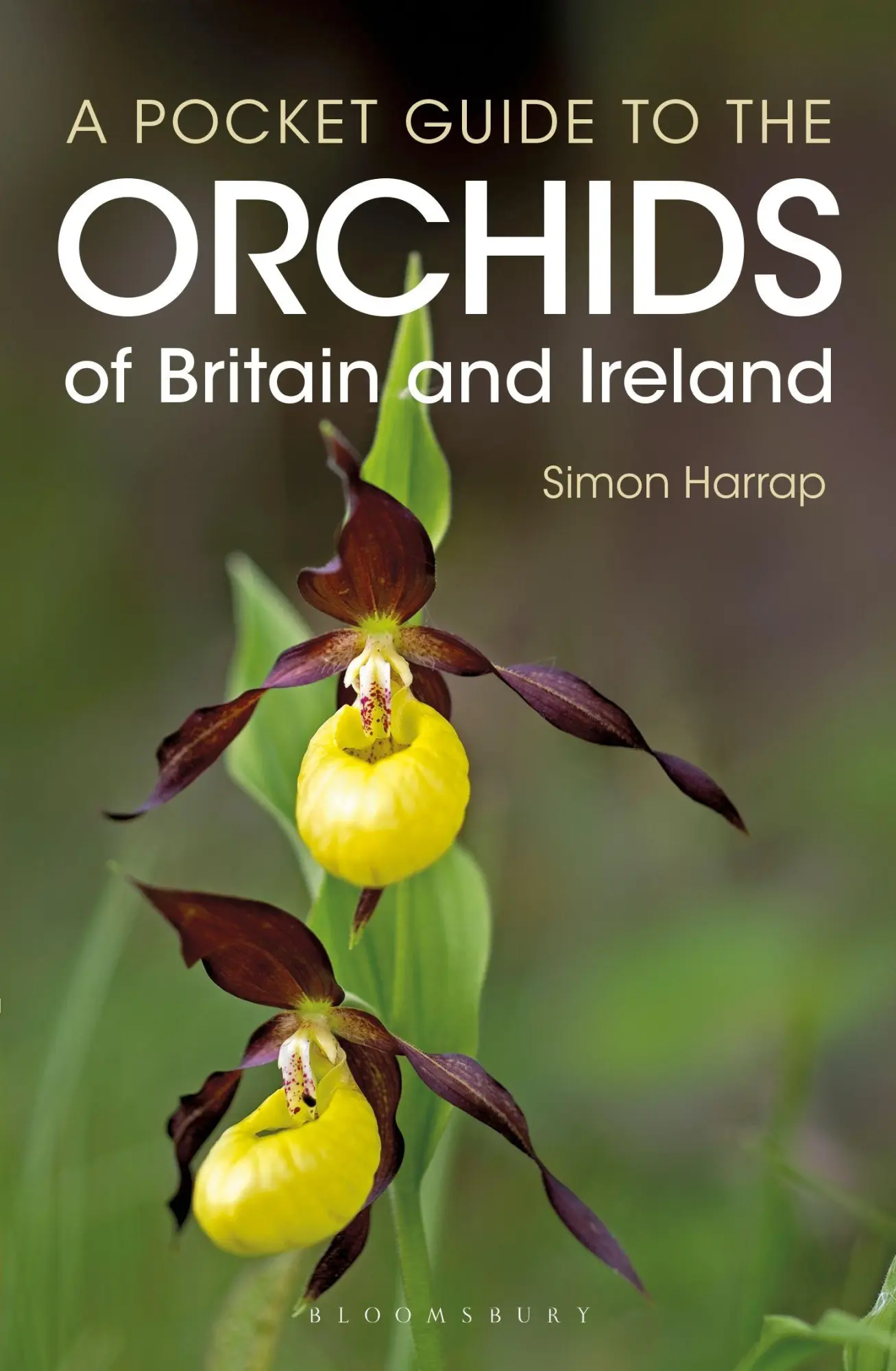Cover: 9781472969095 | Pocket Guide to the Orchids of Britain and Ireland | Simon Harrap