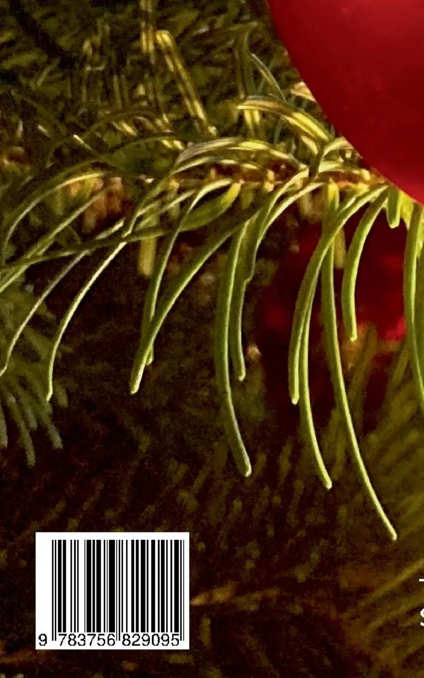 Rückseite: 9783756829095 | Weihnachten kann kommen... | Thomas Schlichte | Taschenbuch | 24 S.