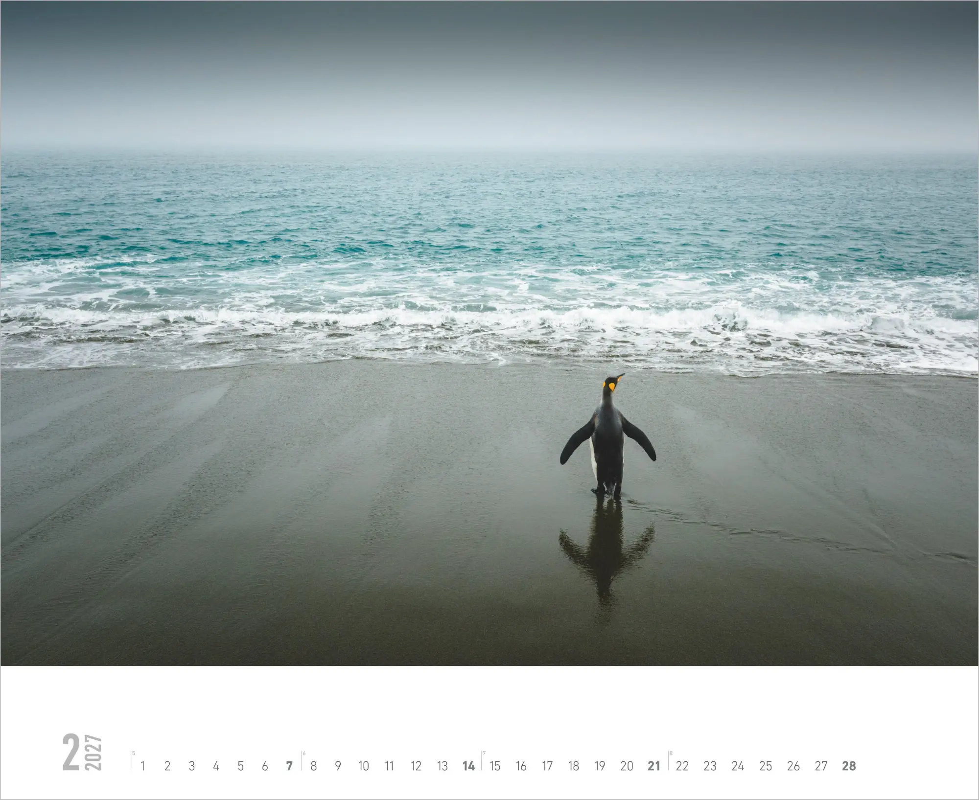 Bild: 4069095019195 | Meer 2027 | Kalender | 14 S. | Deutsch | 2027 | ALPHA EDITION GmbH