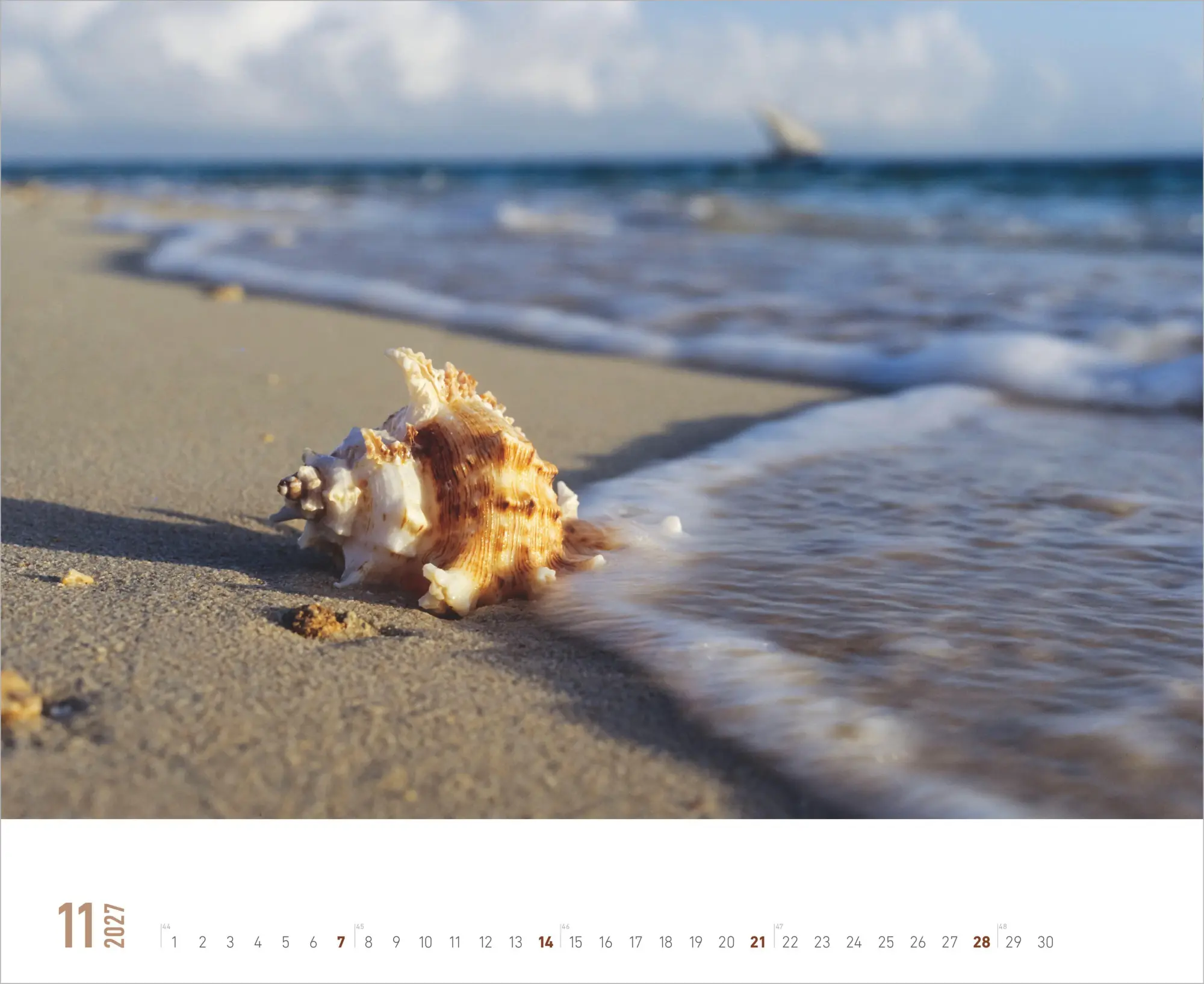 Bild: 4069095019195 | Meer 2027 | Kalender | 14 S. | Deutsch | 2027 | ALPHA EDITION GmbH