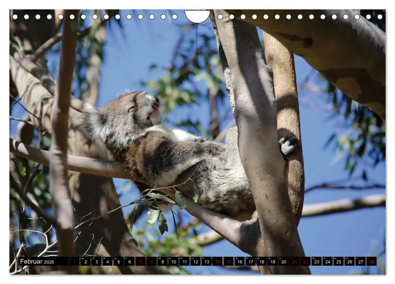 Bild: 9783457839195 | West-Australien (Wandkalender 2026 DIN A4 quer), CALVENDO...