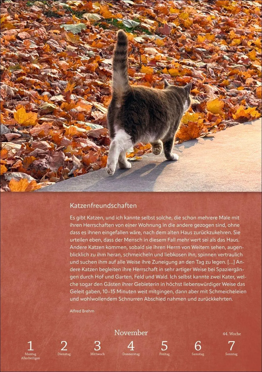 Bild: 9783840039195 | Literaturkalender Katzen Wochen-Kulturkalender 2027 | Harenberg | 2027