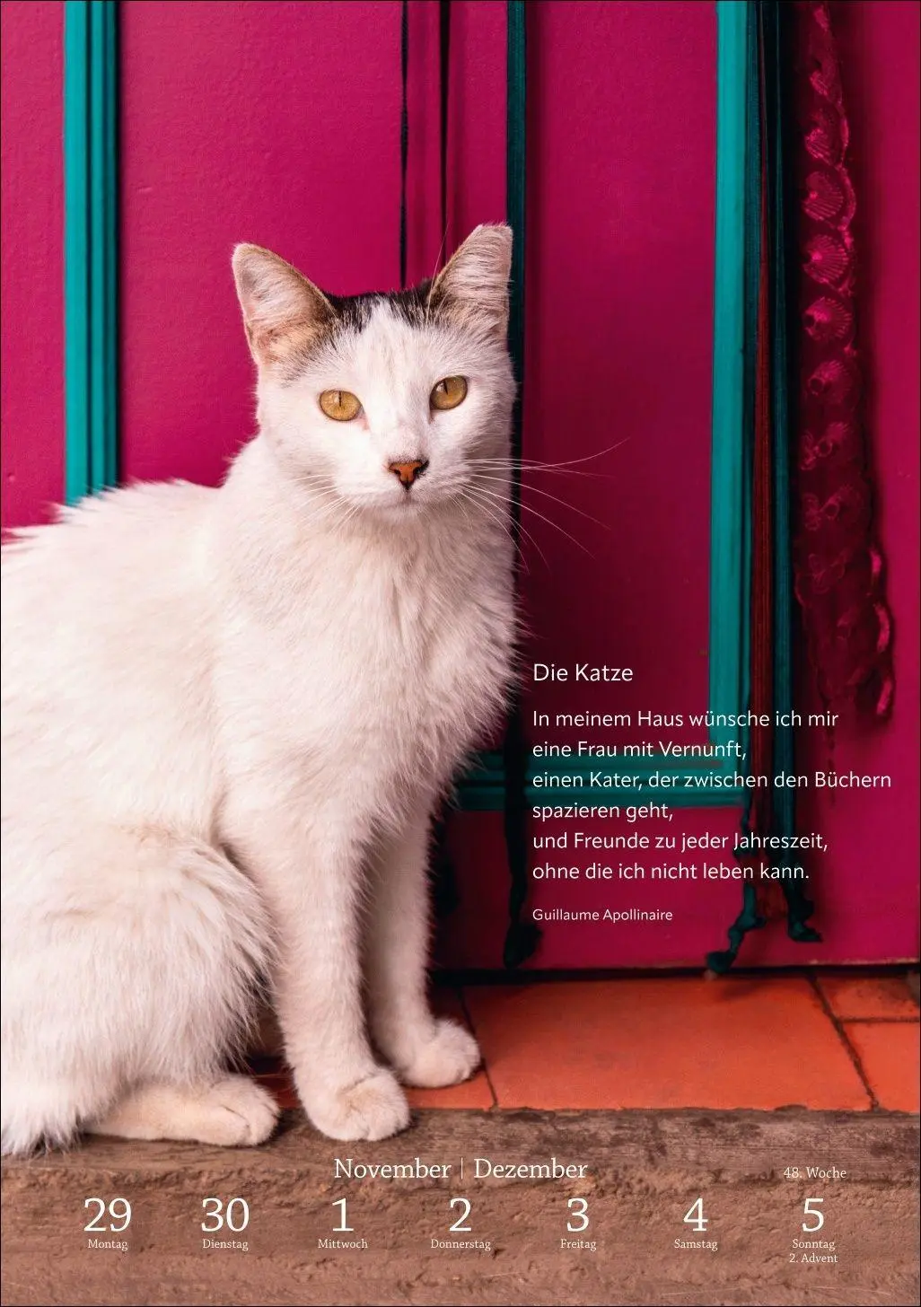 Bild: 9783840039195 | Literaturkalender Katzen Wochen-Kulturkalender 2027 | Harenberg | 2027