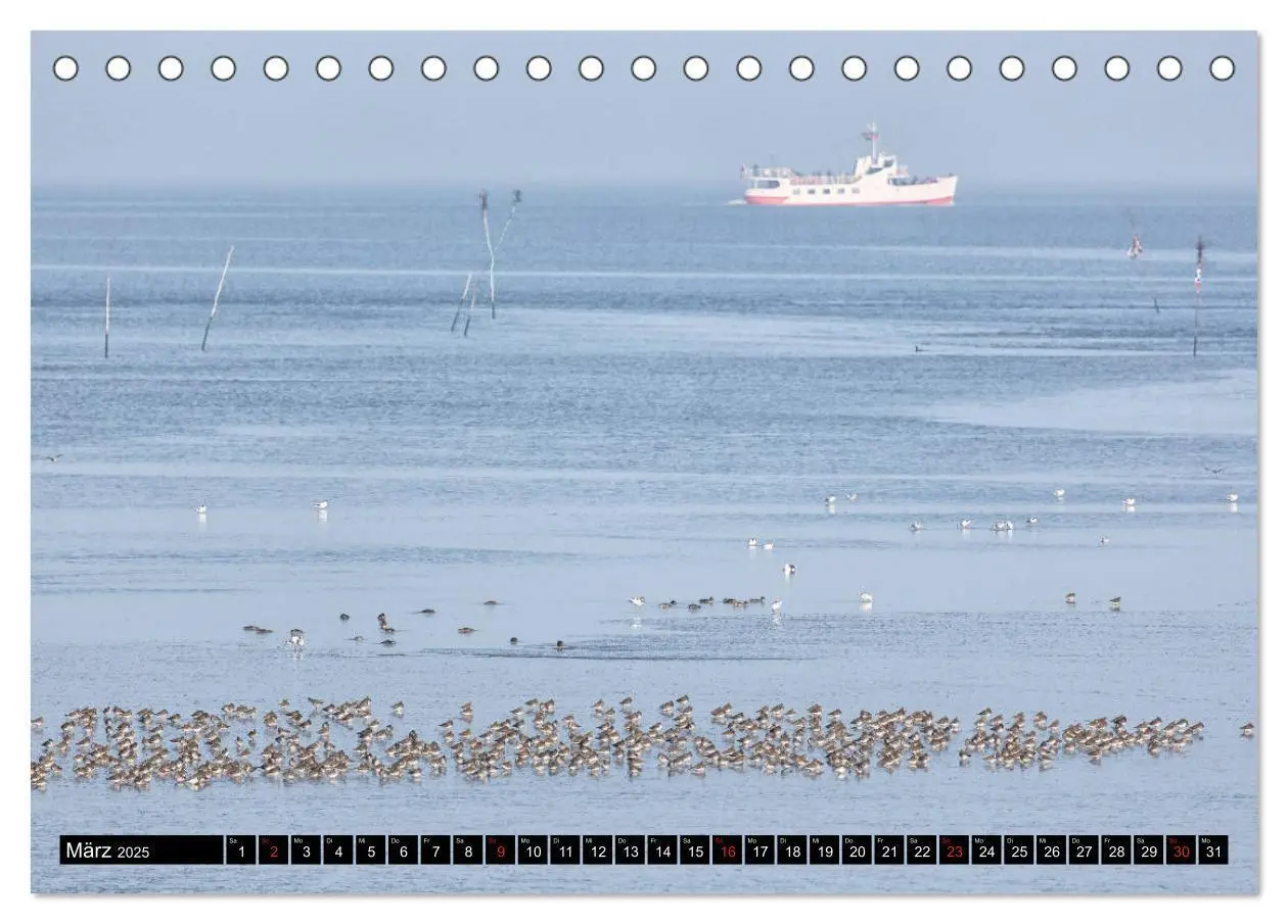 Bild: 9783435109395 | Welterbe Wattenmeer (Tischkalender 2025 DIN A5 quer), CALVENDO...