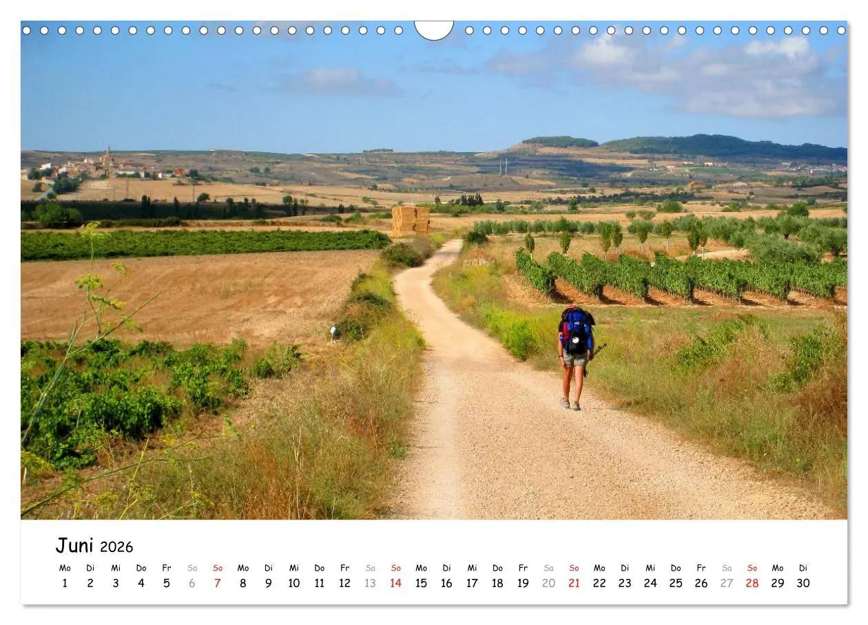 Bild: 9783516079395 | Jakobsweg - Camino Frances (Wandkalender 2026 DIN A3 quer),...