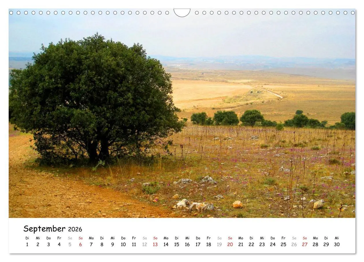 Bild: 9783516079395 | Jakobsweg - Camino Frances (Wandkalender 2026 DIN A3 quer),...