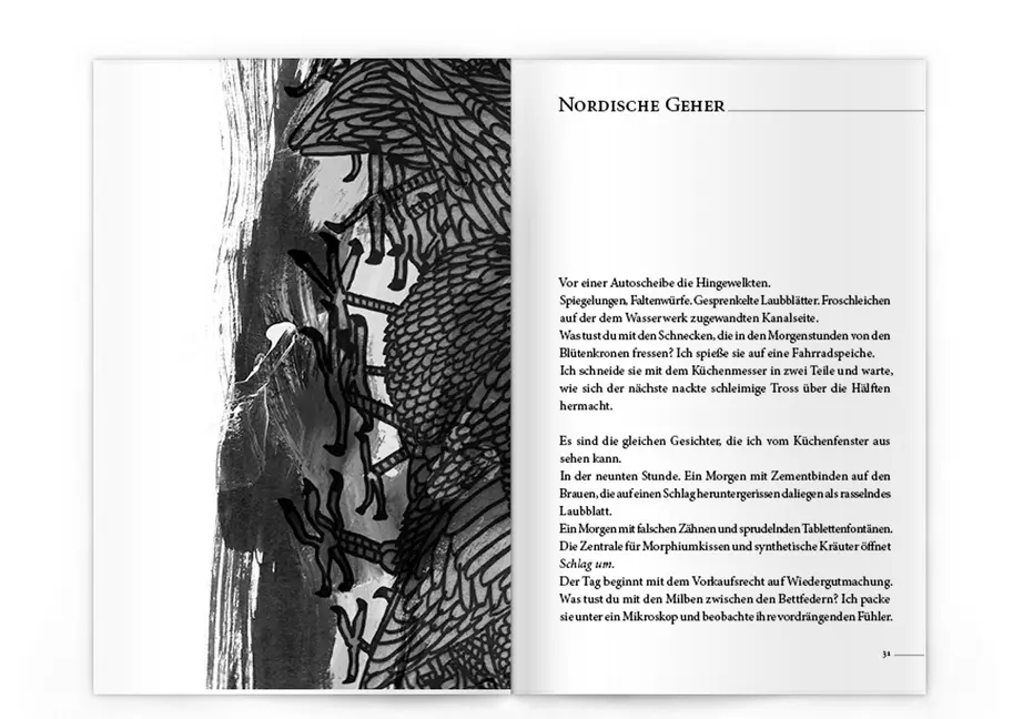 Bild: 9783940249395 | Liebe die Stare | Tom Schulz | Taschenbuch | Kartoniert / Broschiert
