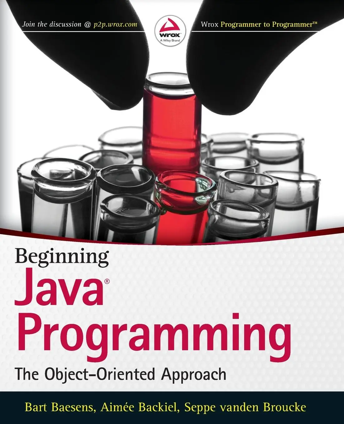 Cover: 9781118739495 | Beginning Java Programming | The Object-Oriented Approach | Buch