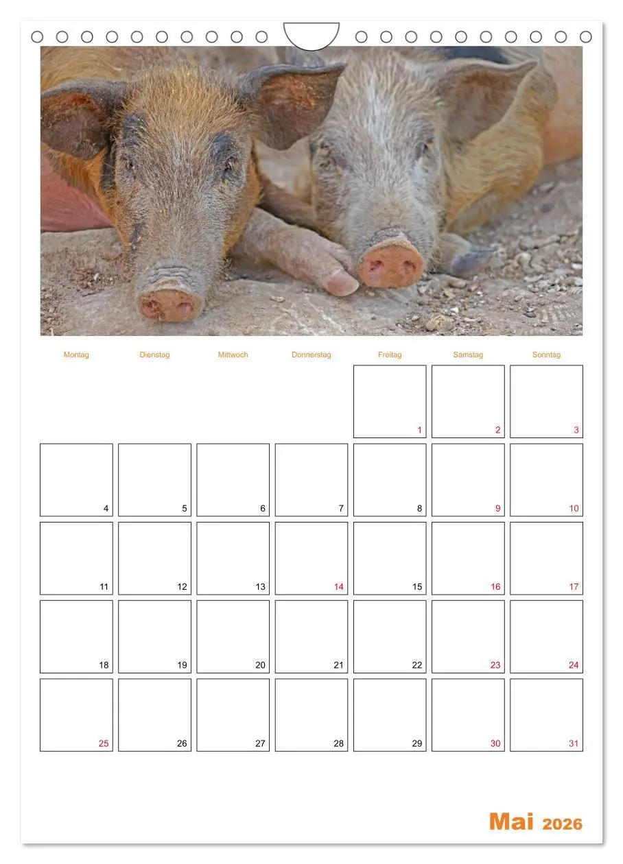 Bild: 9783516379495 | Gambia und Senegal erleben (Wandkalender 2026 DIN A4 hoch),...