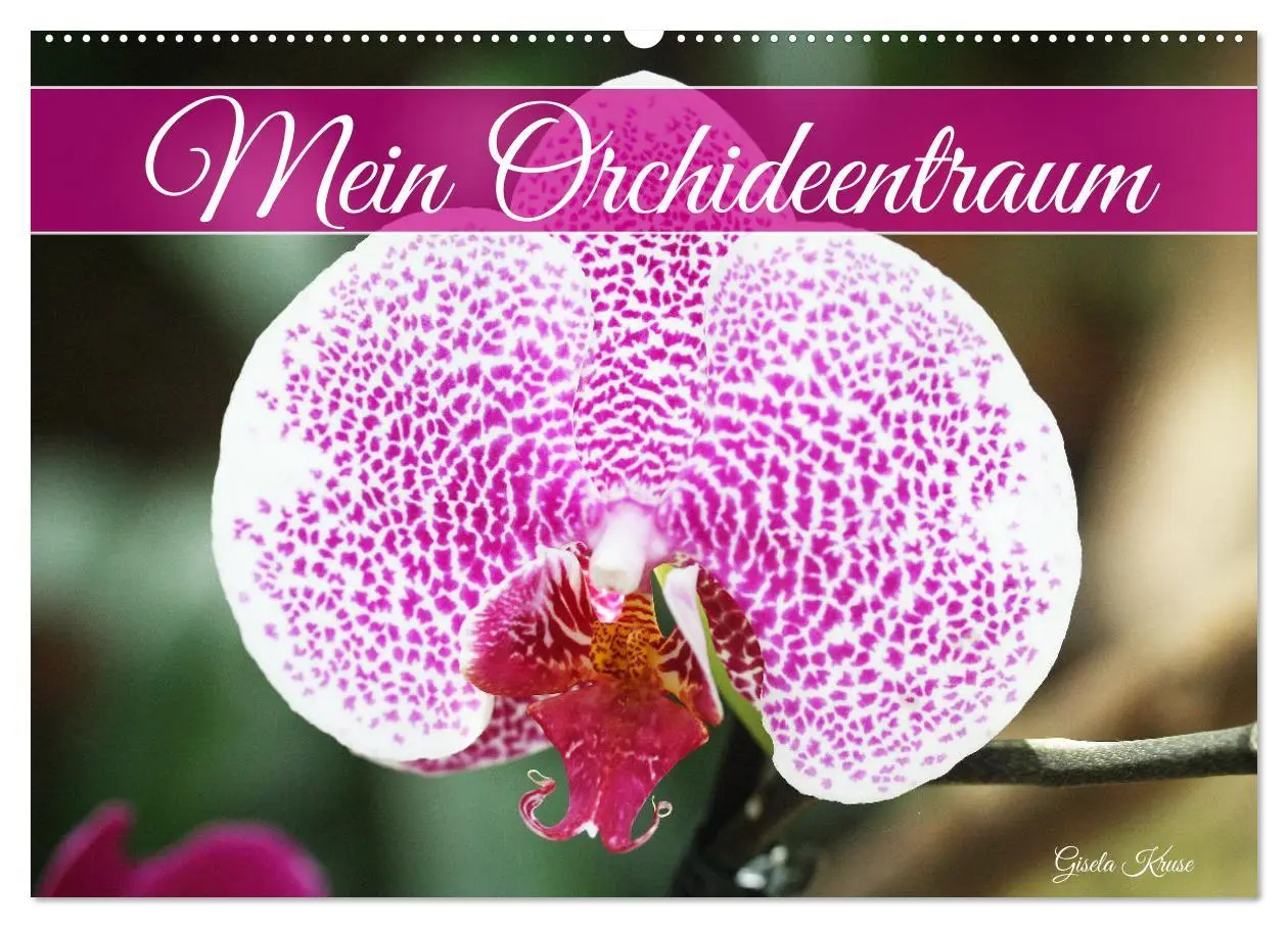 Cover: 9783457589595 | Mein Orchideentraum (Wandkalender 2026 DIN A2 quer), CALVENDO...