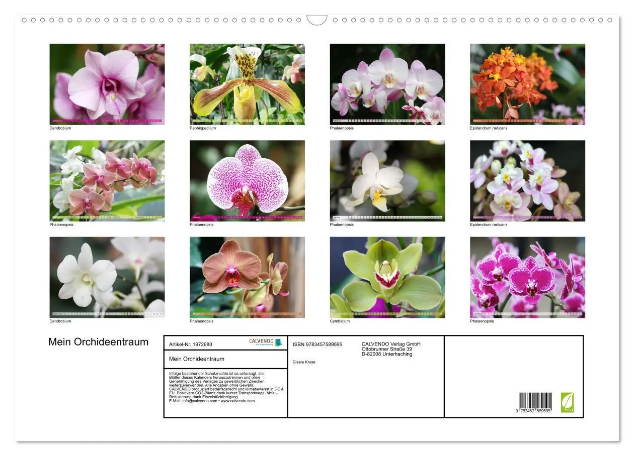 Bild: 9783457589595 | Mein Orchideentraum (Wandkalender 2026 DIN A2 quer), CALVENDO...