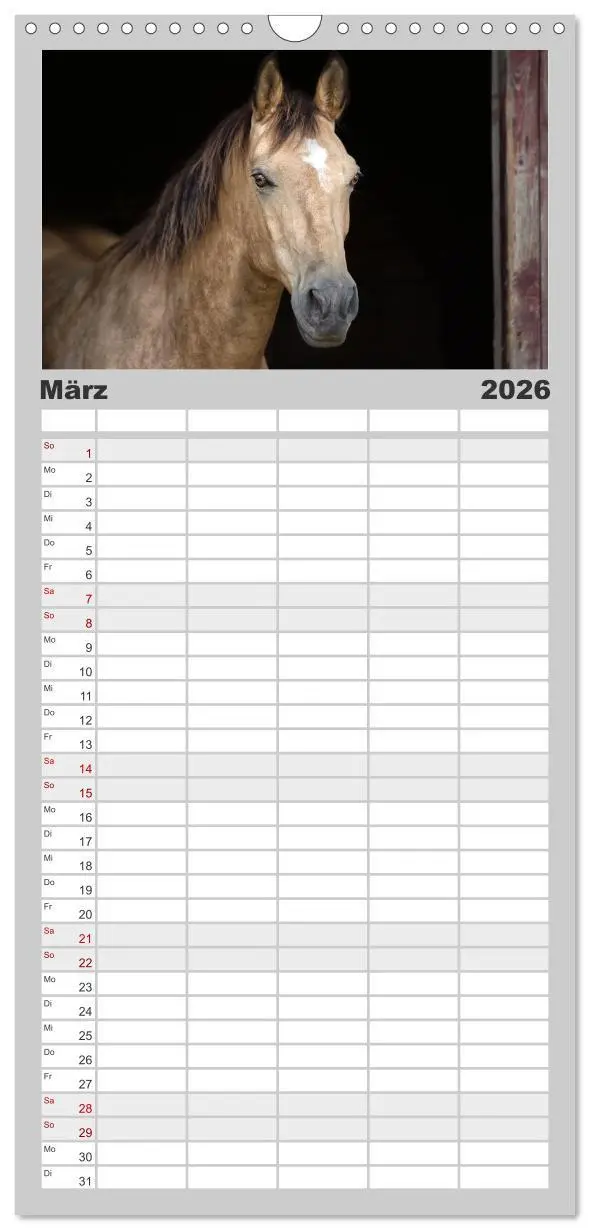 Bild: 9783516509595 | Familienplaner 2026 - Faszination Westernpferde mit 5 Spalten...