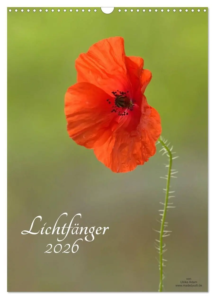 Cover: 9783516679595 | Lichtfänger (Wandkalender 2026 DIN A3 hoch), CALVENDO Monatskalender